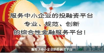 山东中小企业融资服务平台 您的专属金融伙伴，助力企业腾飞