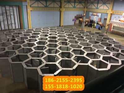 一站式蜂巢迷宫租赁 专业厂家提供摄像与制作服务