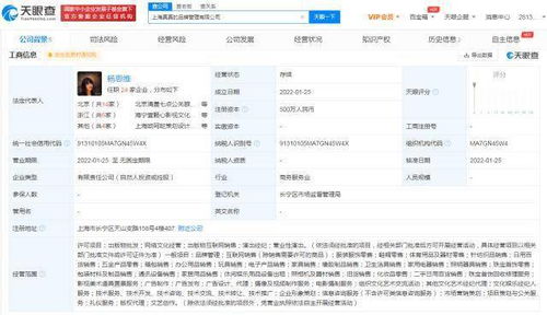杨天真创办真真品牌管理公司 以专业摄像与制作服务赋能品牌升级